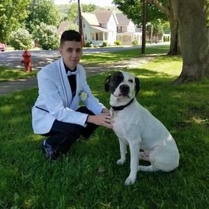 Meet your Posher, Logan